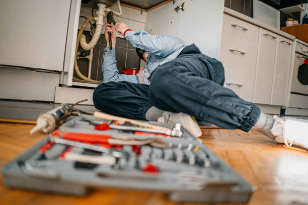 Best 24-Hour Plumber Near Me  in Pocahontas, IA