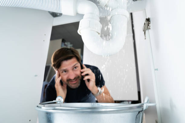 Best Toilet Repair Services  in Pocahontas, IA