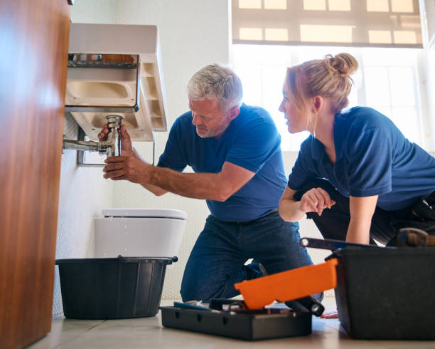 Best Same-Day Plumbing Service  in Pocahontas, IA